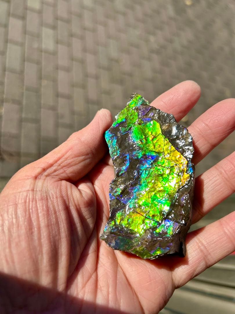 アンモライト超美品