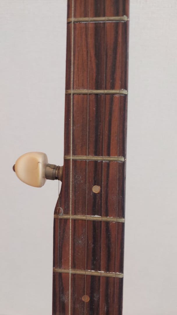 Nardan バンジョー