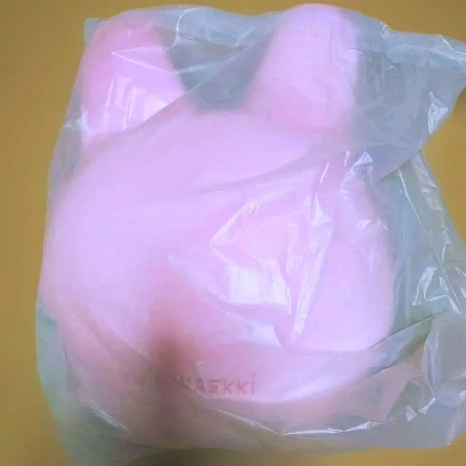 SKZOO CUSHION BABY Ver トェッキ チャンビン