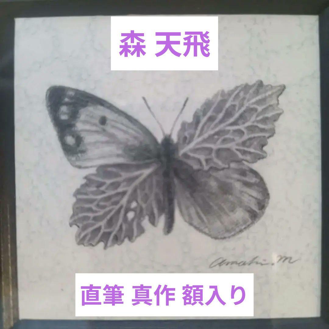 ★希少★真作★森天飛★葉蝶 モンキチョウ★サイン有り
