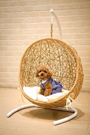 【ハンギングチェアー】ペット用ハンギング　ゆりかご椅子【新品】ベージュ