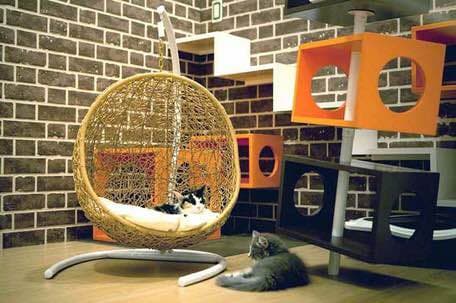 【ハンギングチェアー】ペット用ハンギング　ゆりかご椅子【新品】ベージュ