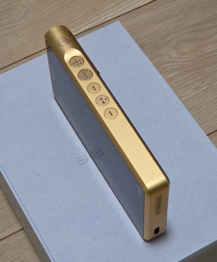 SONY NW-WM1ZM2 ゴールド✨️美品✨️本革ケース付