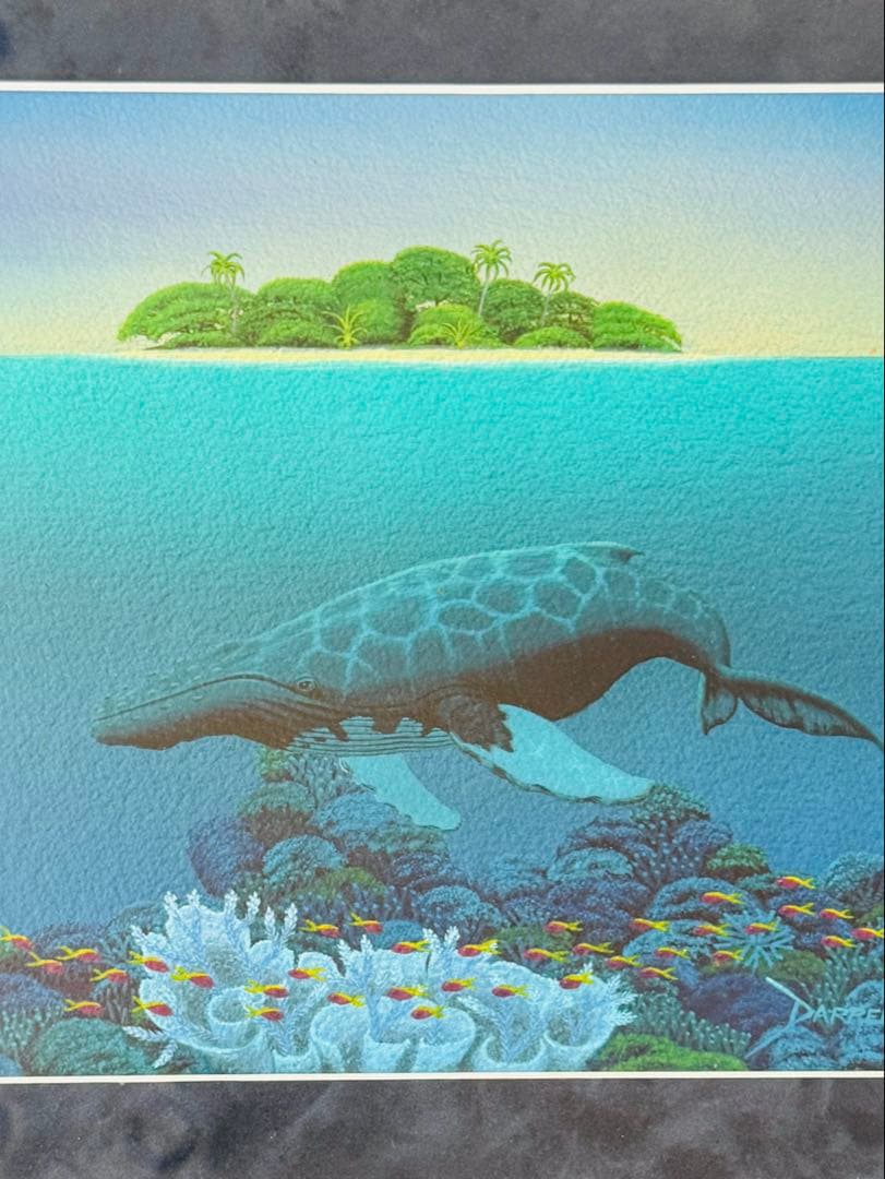 ダレル・フック　原画　オーストラリア　グレートバリアリーフ