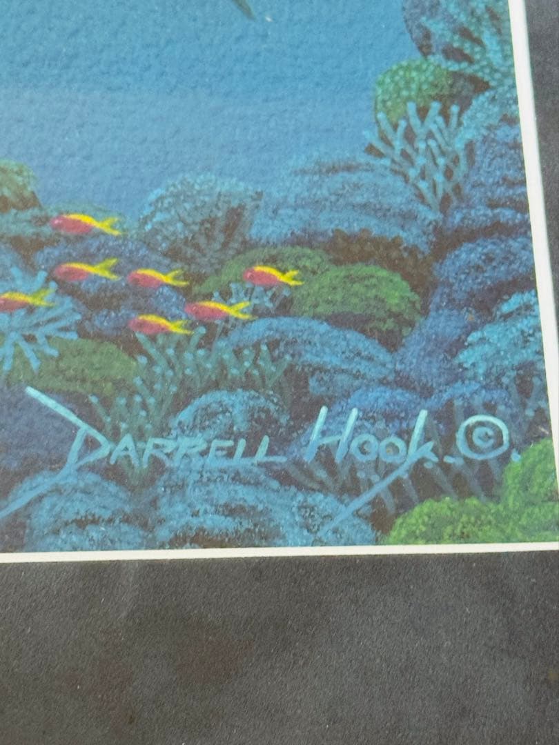ダレル・フック　原画　オーストラリア　グレートバリアリーフ