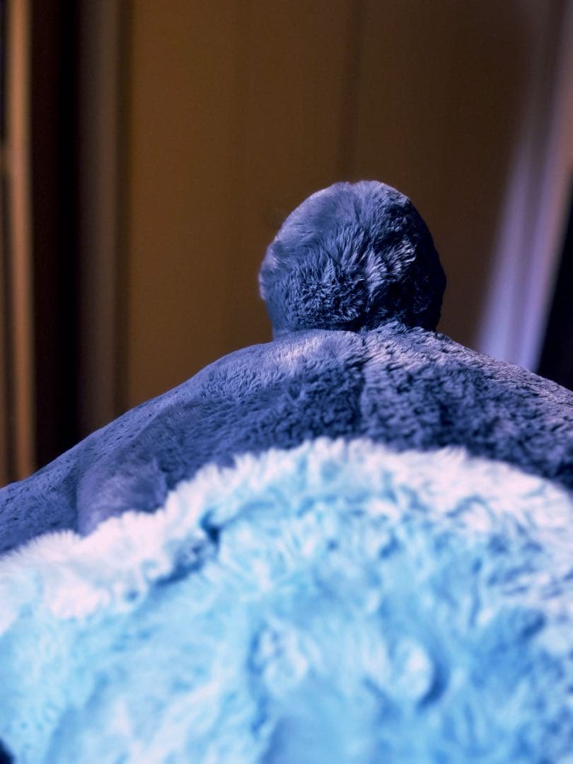 スティッチ コストコ　希望価格まで爆上げ中