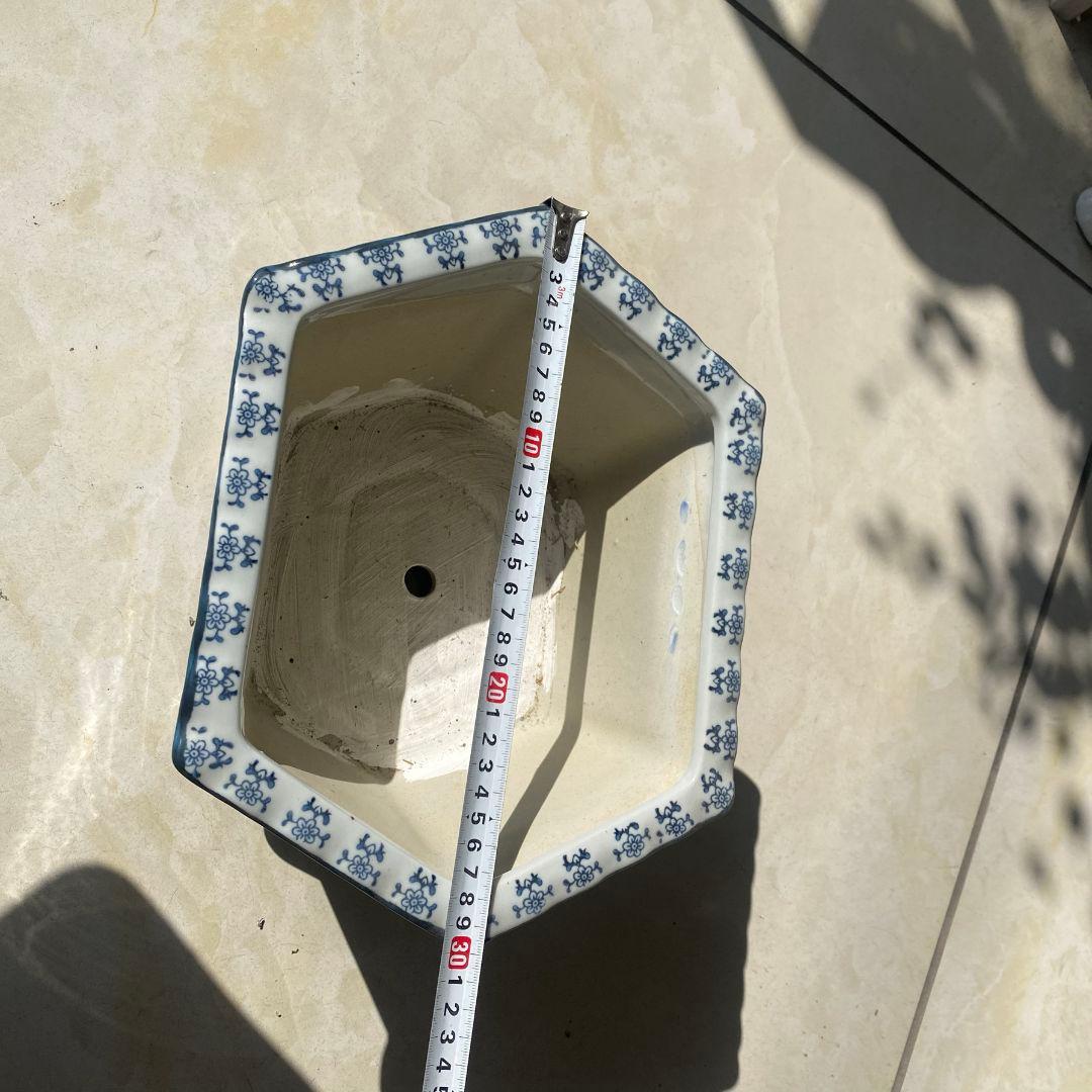 青磁の鉢 盆栽鉢 中国鉢 植木鉢 多肉植物鉢 小品盆栽鉢 山野草鉢