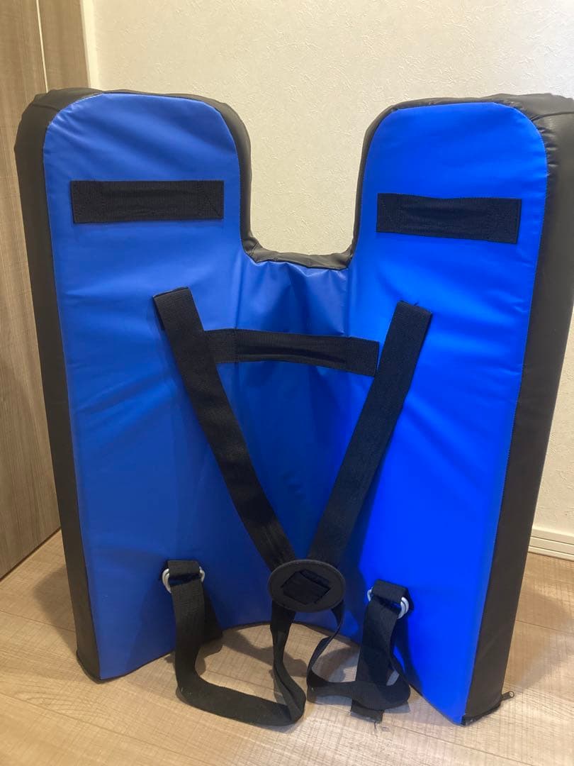 空手　キック　ボクシング　ビッグミット　マーシャルワールド