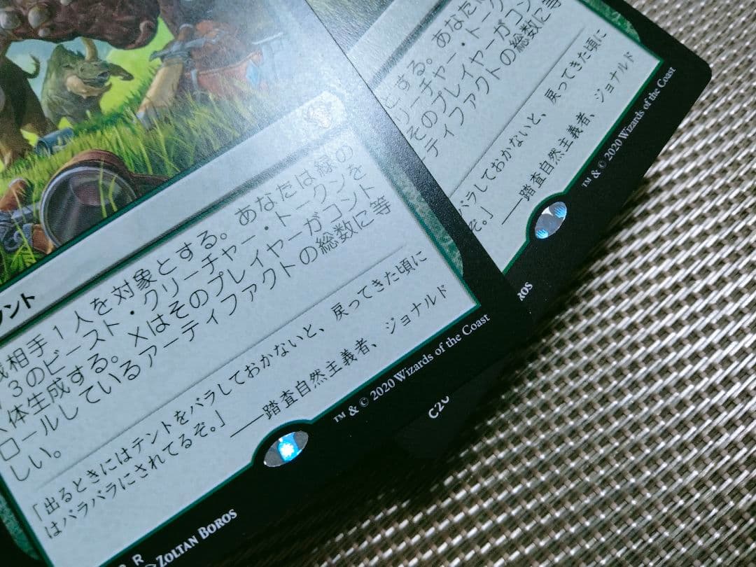 【ご確認用】統率者2020 好奇心の強い群れ 日本語 1枚　MTG