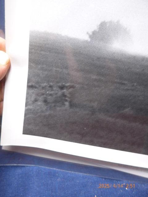 貴重です。一村哲也の伝説的な写真集「カム・アップ」に掲載、オリジナルプリント２