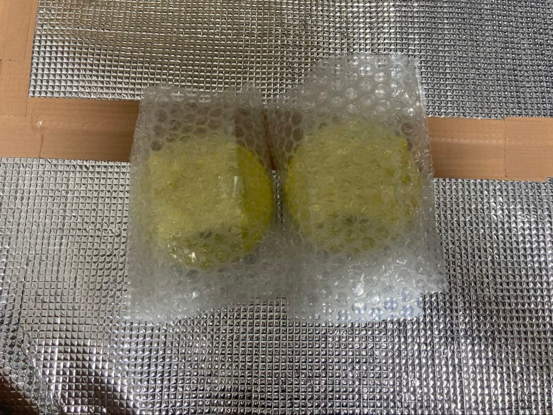 2025年製2種SLV-2 2個セット　べ一ス付き