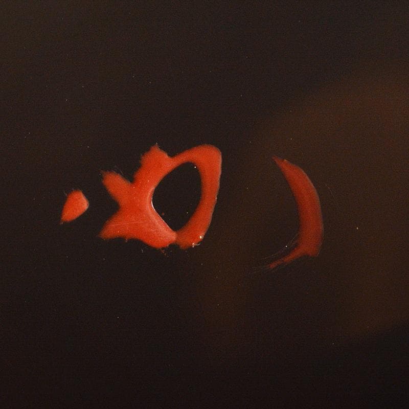 茶道具　鱗鶴蒔絵　大棗　堀内宗完(兼中斎)極め箱　M　R7198