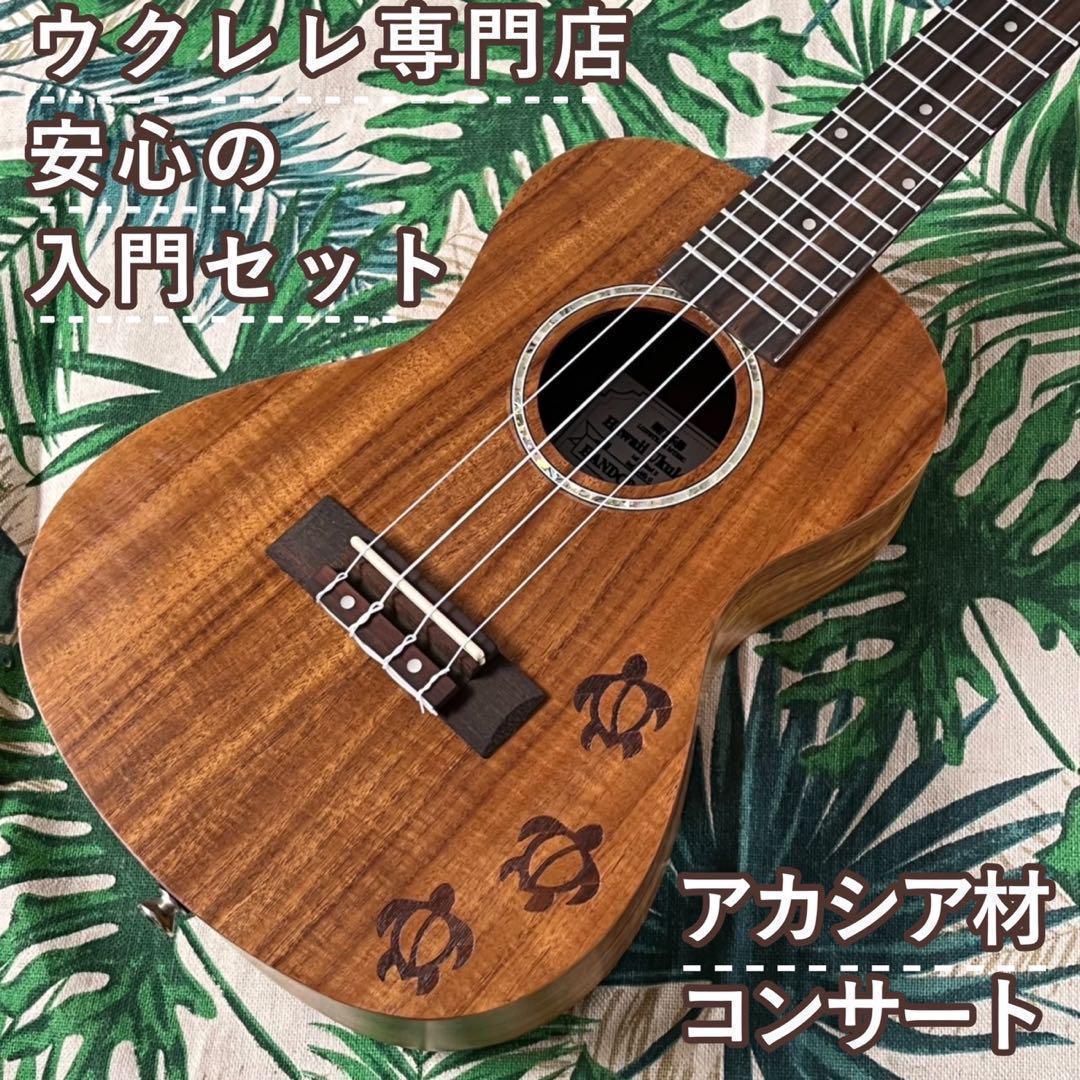 【アカシア材】Longteamのホヌ模様・コンサートウクレレ【ウクレレ専門店】