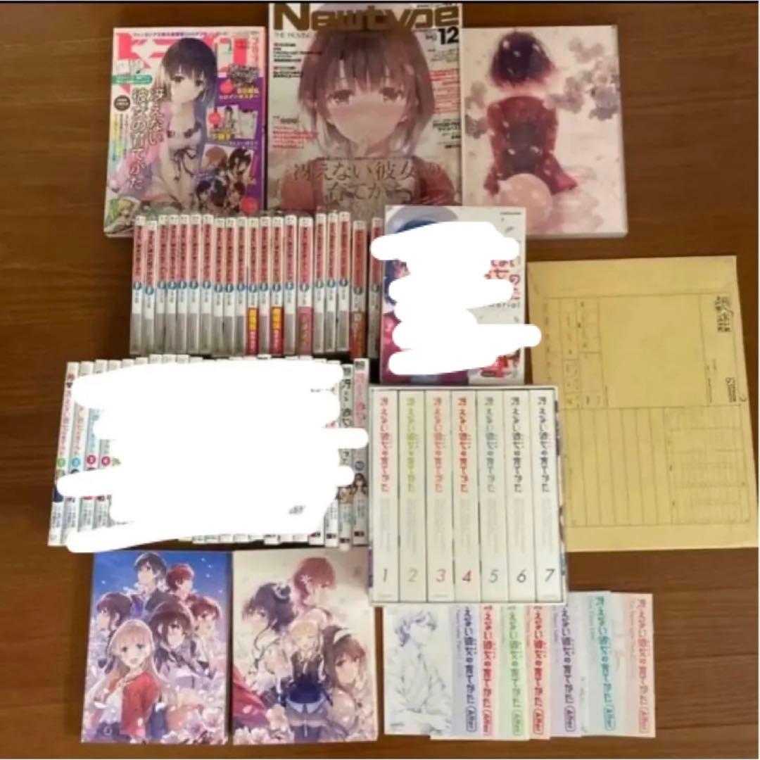 冴えない彼女の育てかた　冴えカノ　DVD ラノベ タペストリー他グッズまとめ売り