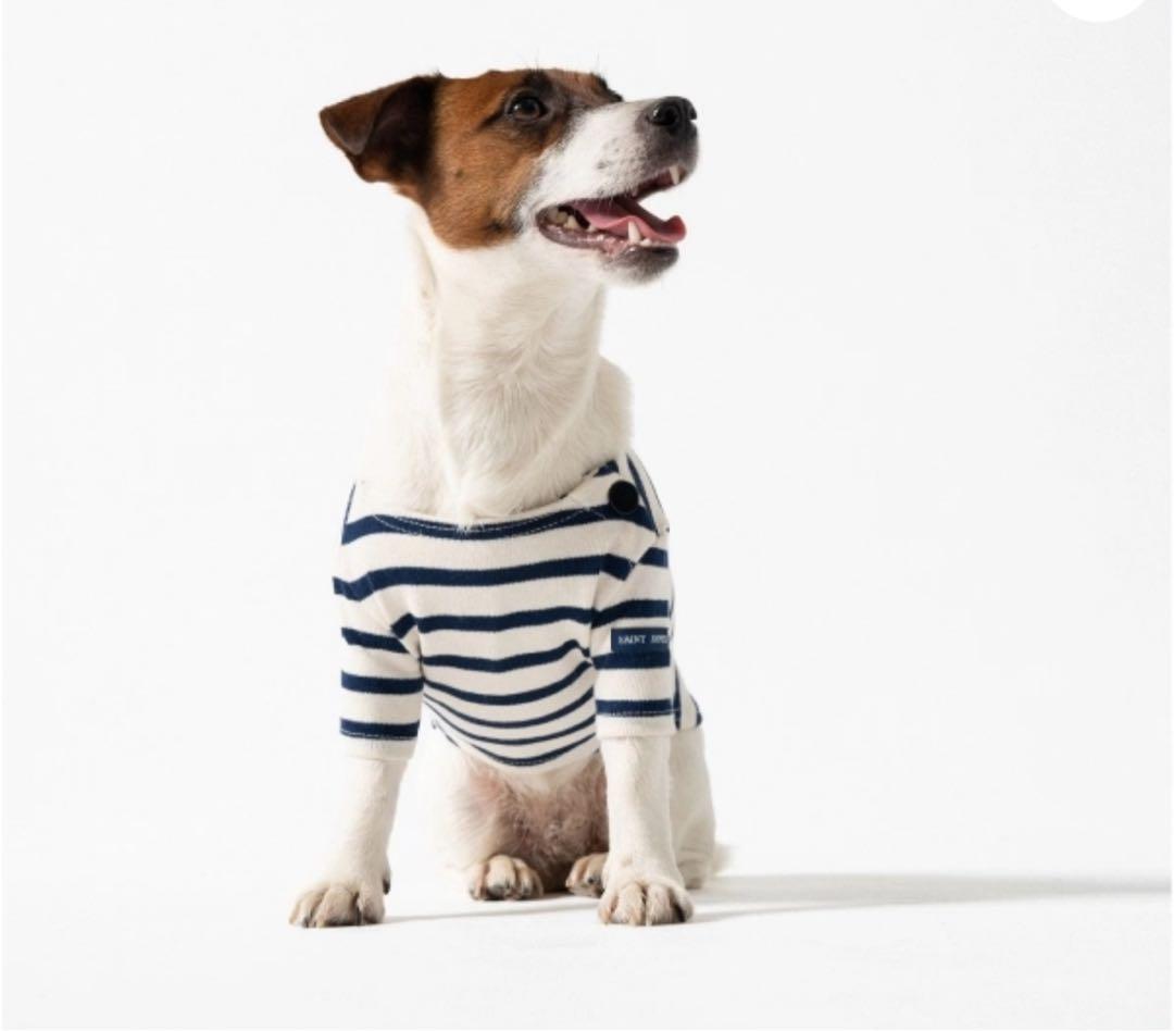 【新品未使用／日本未入荷】セントジェームス 犬服　Sサイズ　フランスパビリオン