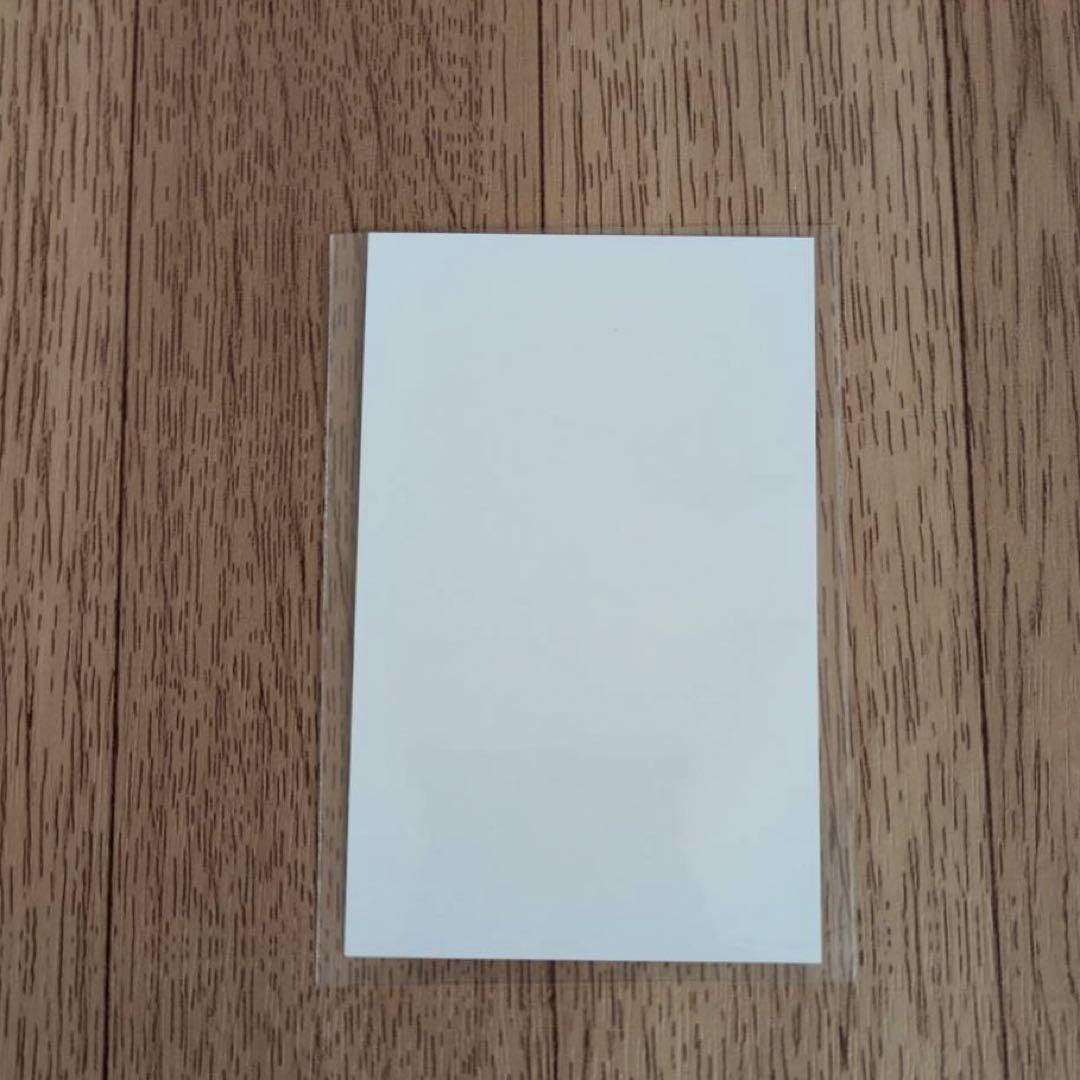 鬼滅の刃 箔押し 悲鳴嶼行冥 チェキ風ブロマイド 過去