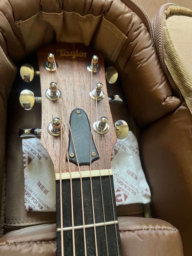 Taylor Guitars ( テイラーギター ) GS Mini-e