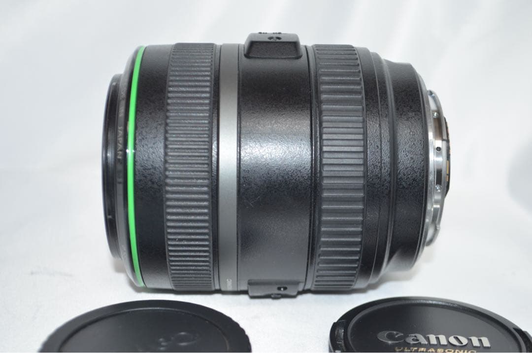 Canon キヤノン EF 70-300mm DO IS USM