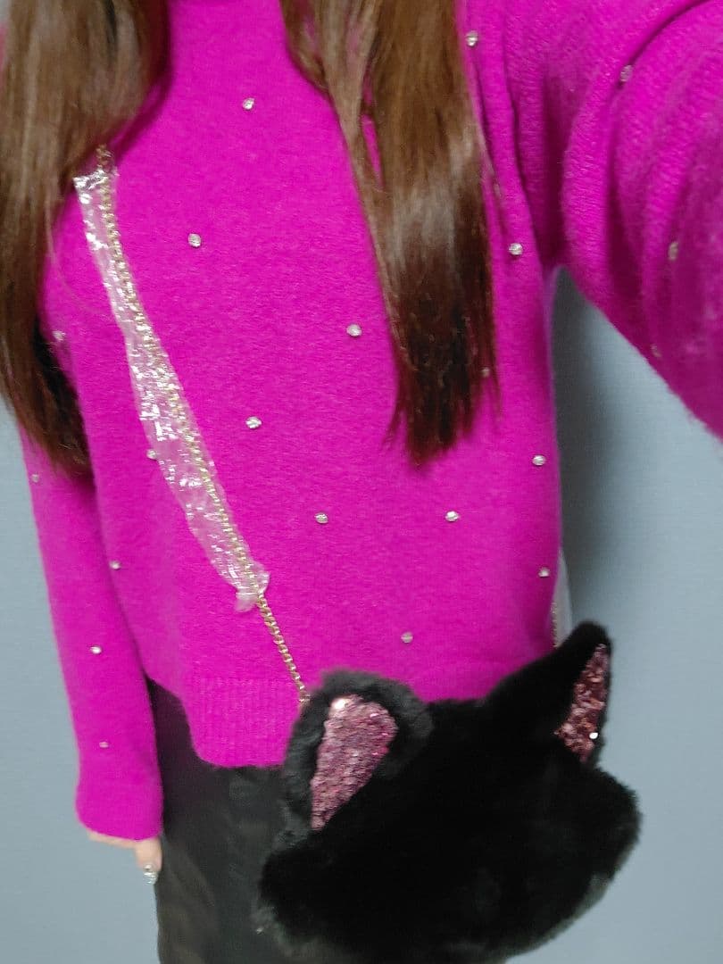 ディズニー　ネコ　チェーンバッグ