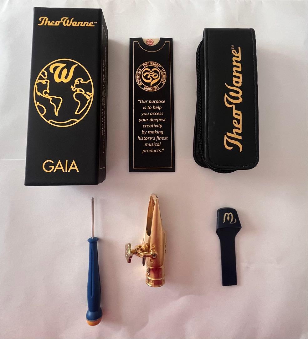 Theo Wanne GAIA IV サックスマウスピース