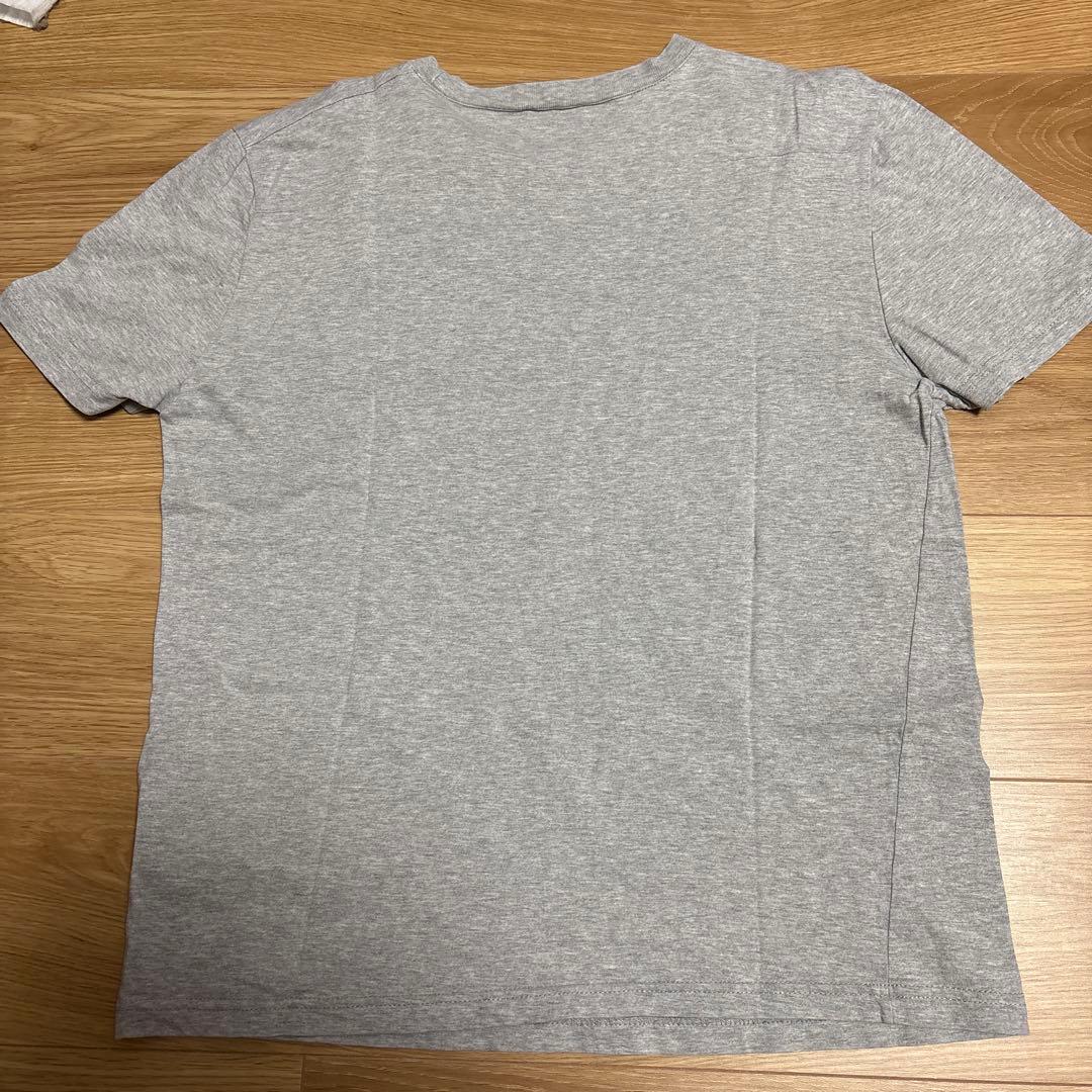 エディ期 Dior Homme 07AW エンジェルウイング グレー Tシャツ