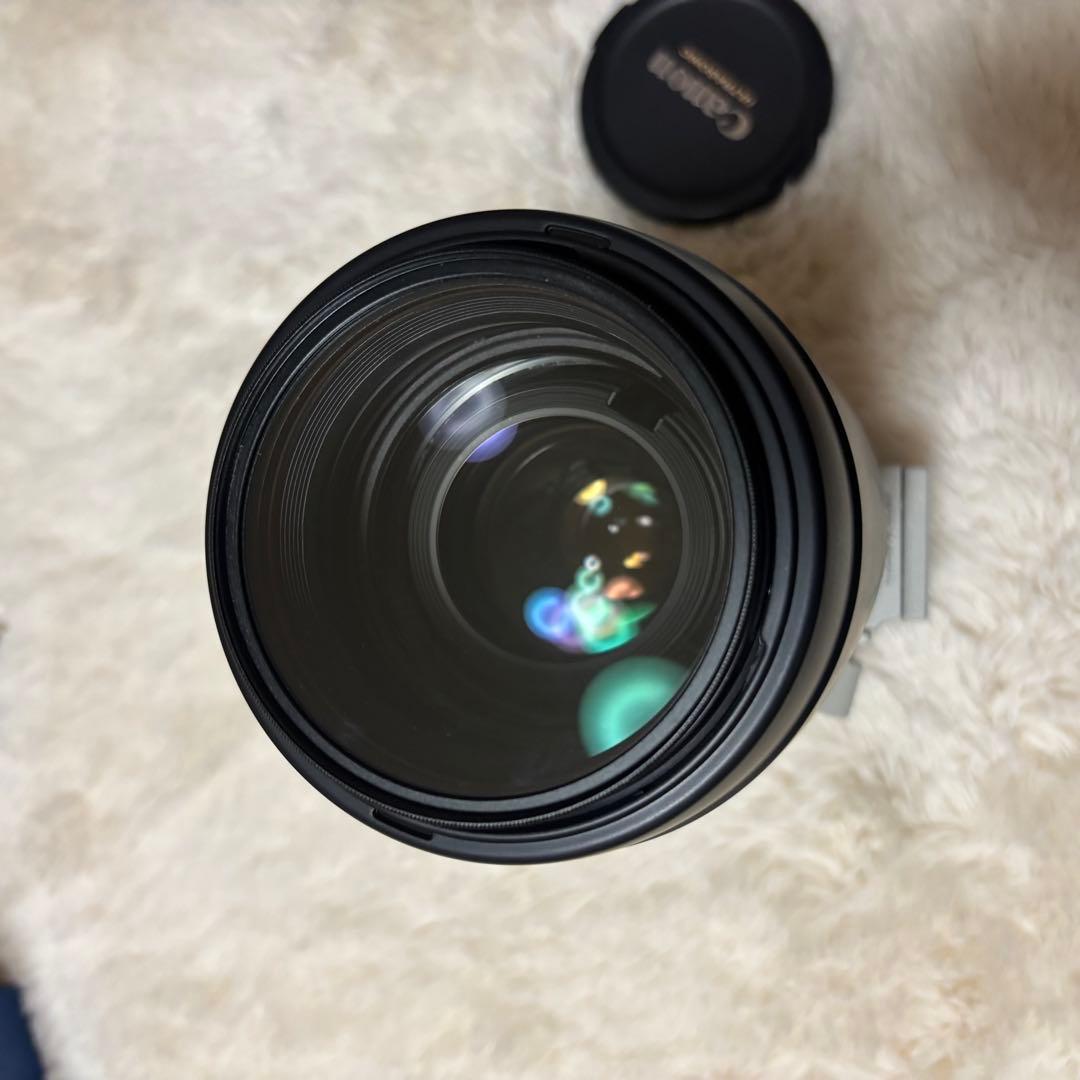 Canon EF 70-200mm f/2.8L レンズ
