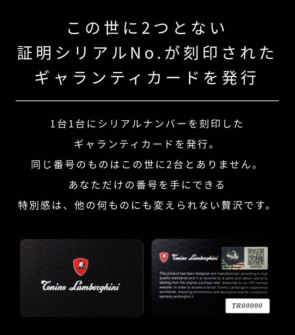 【数回使用のみ】ALPHA・ONE アルファワン ランボルギーニ 美顔器