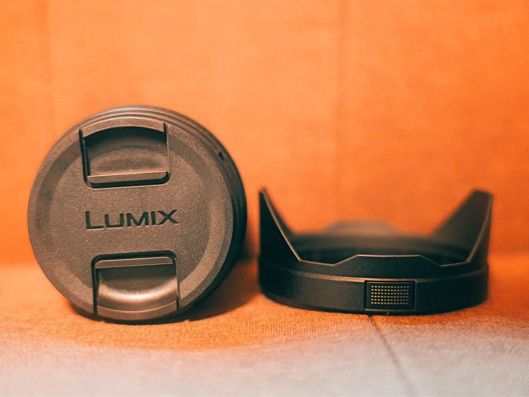 LUMIX S1iiパナソニック LUMIX S 20 60 Lマウント