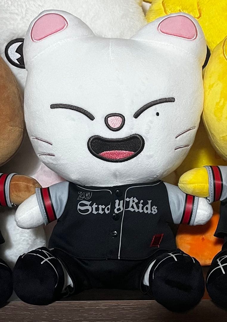 Stray Kids SKZOO Jiniret エコパ ぬいぐるみ