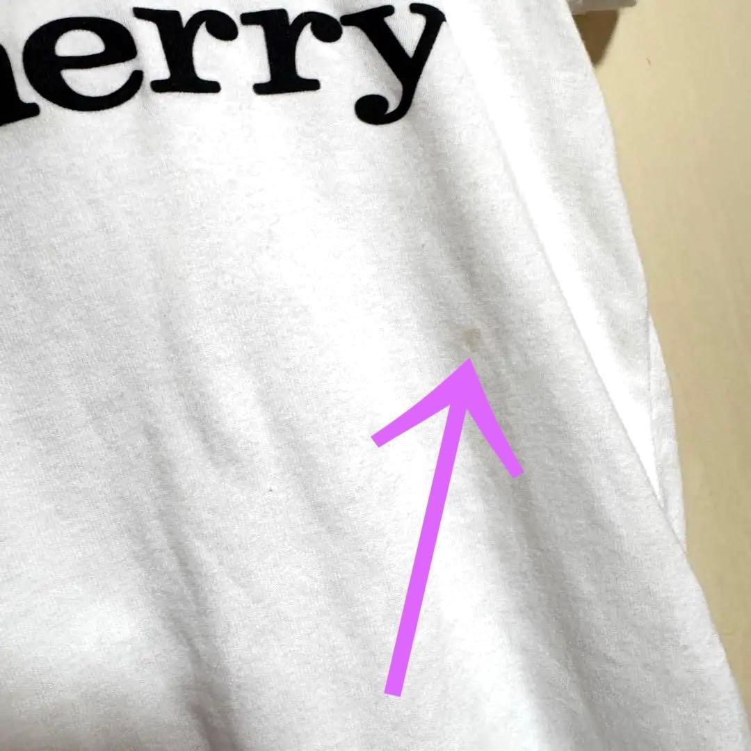 【激レア】Acidblackcherry Tシャツパジャマ等セット中古未開封あり