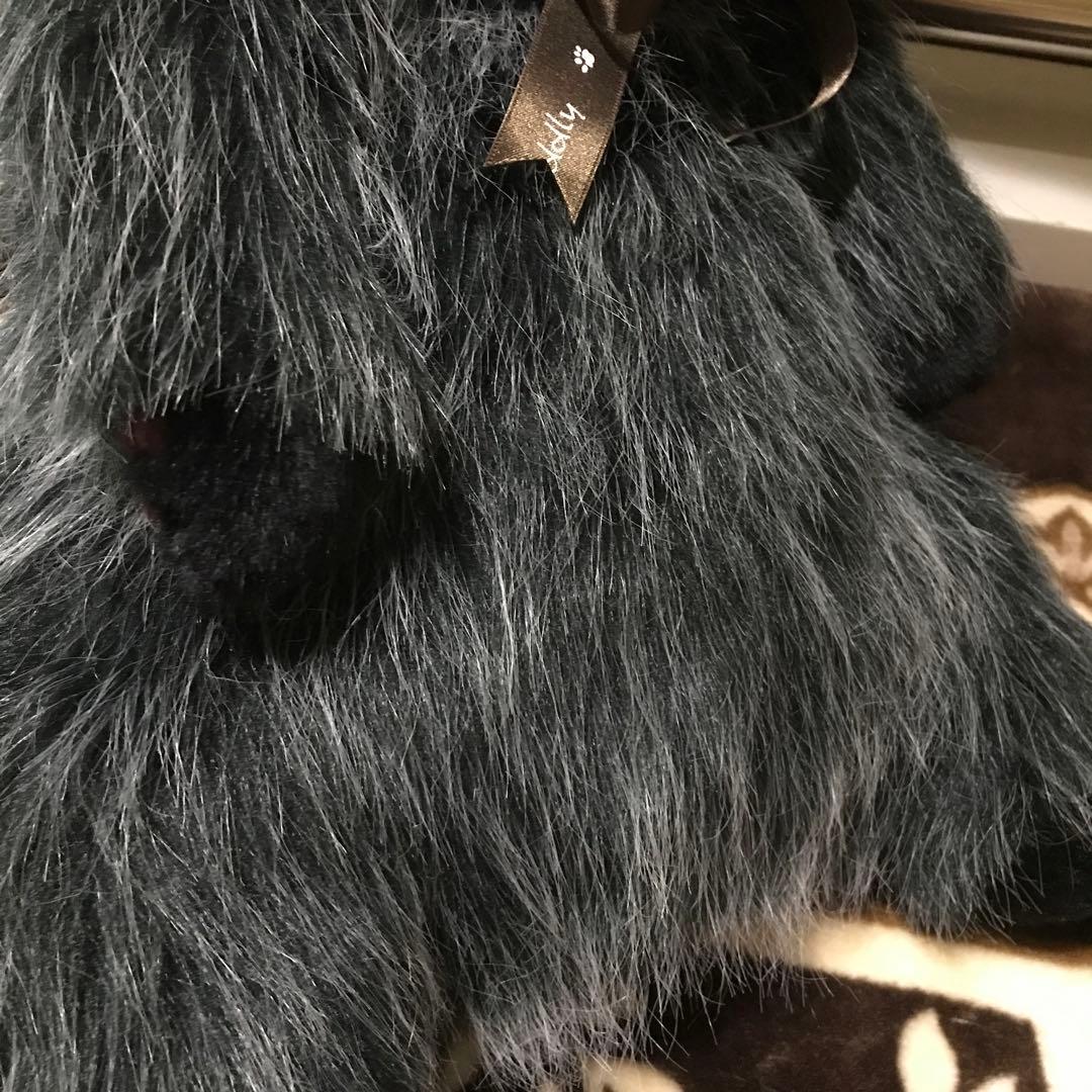 ココです❗️Cudolly カドリー　販売終了品　希少　入手困難❣️