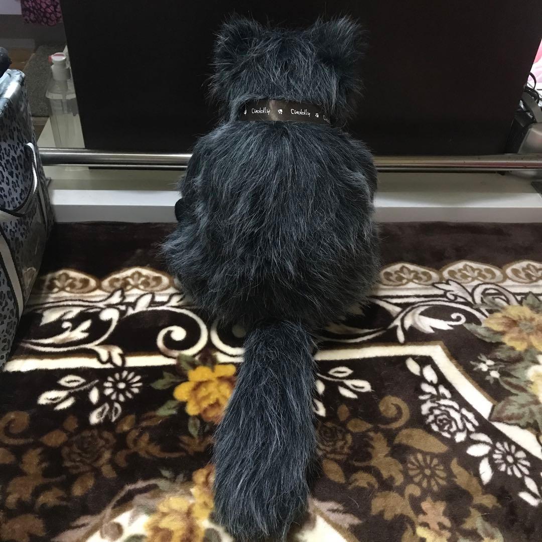 ココです❗️Cudolly カドリー　販売終了品　希少　入手困難❣️