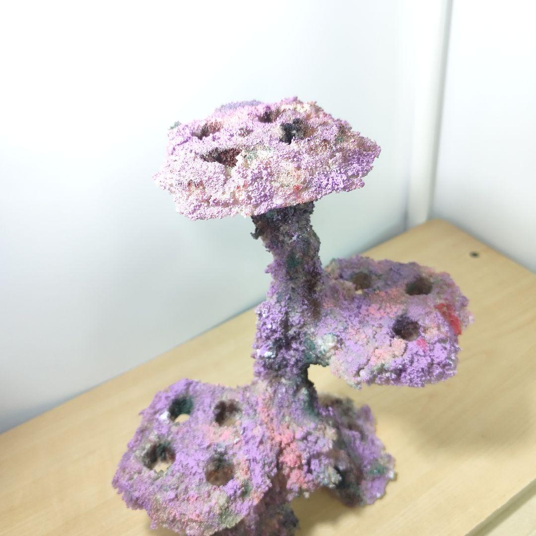 プラグ穴付き アク抜き不要人工ライブロック 海水水槽 レプリカ コーラルフラグ1