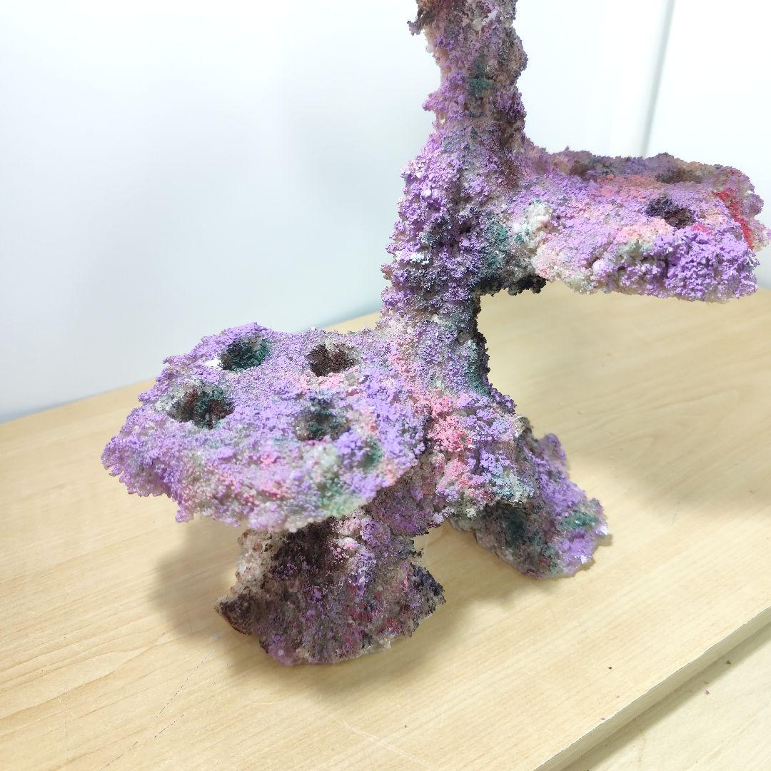 プラグ穴付き アク抜き不要人工ライブロック 海水水槽 レプリカ コーラルフラグ1