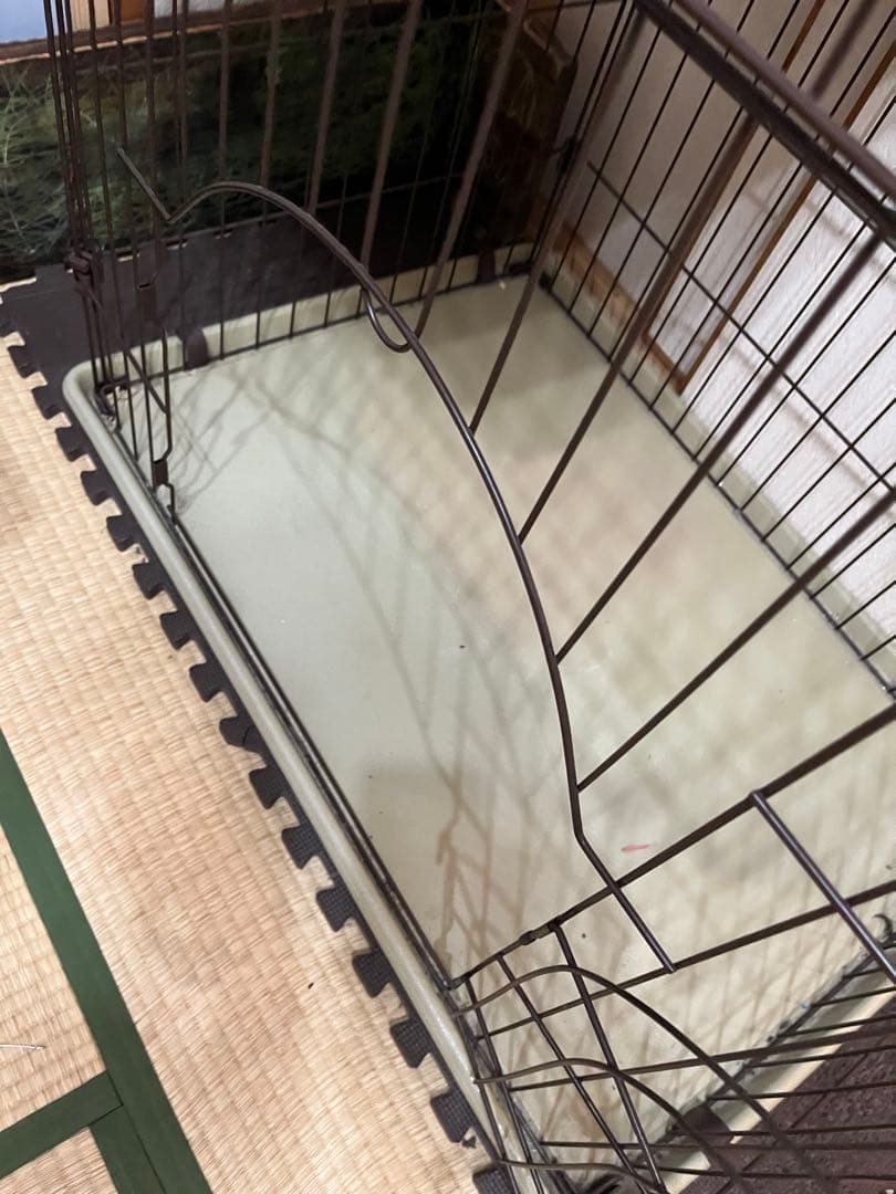 引き取り　ハンモック付きキャットケージ 3段