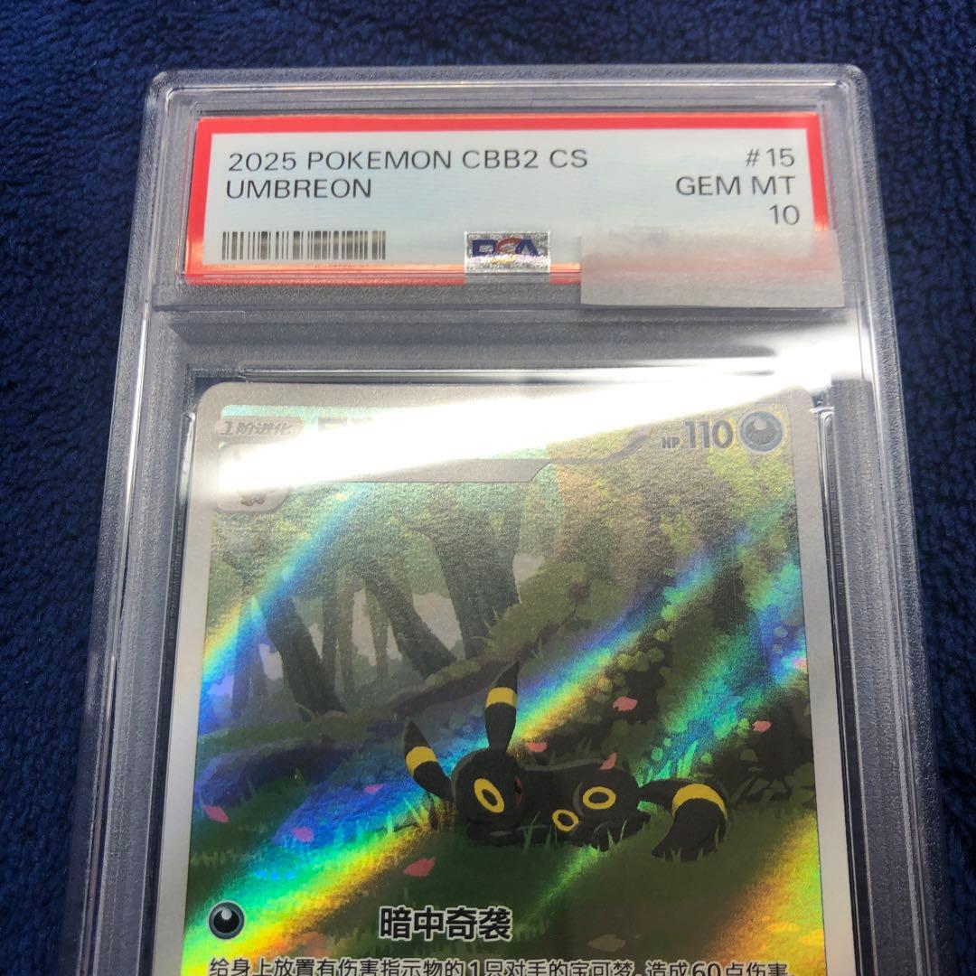 ブラッキー　中国　AR psa10