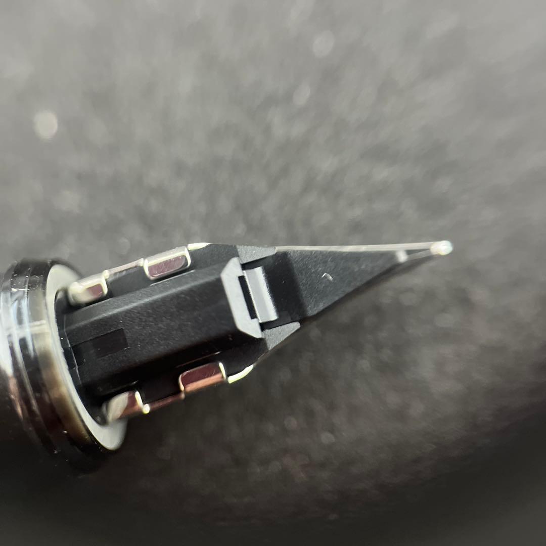 【限定生産品】PLATINUM PROCYON LUSTER ナミニチドリ