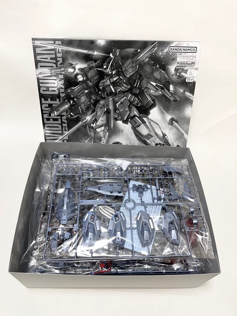 MG プロヴィデンスガンダム スペシャルコーティング プレミアムバンダイ限定