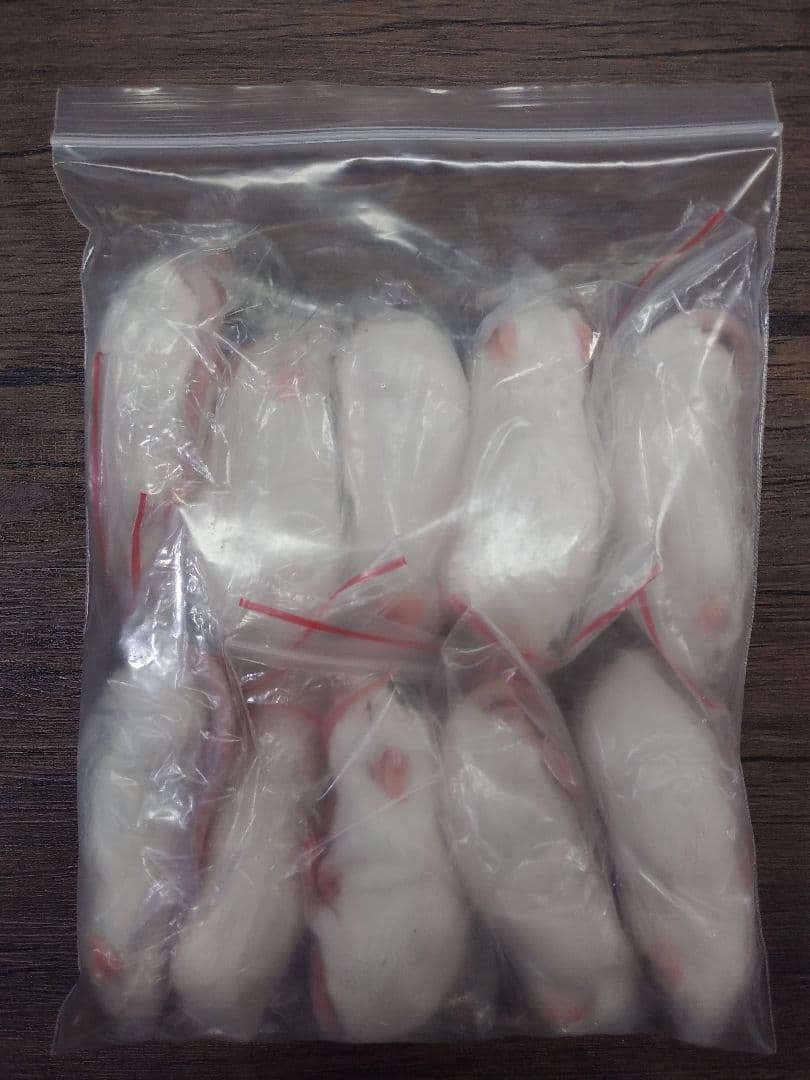 冷凍マウス　アダルトLサイズ　30匹