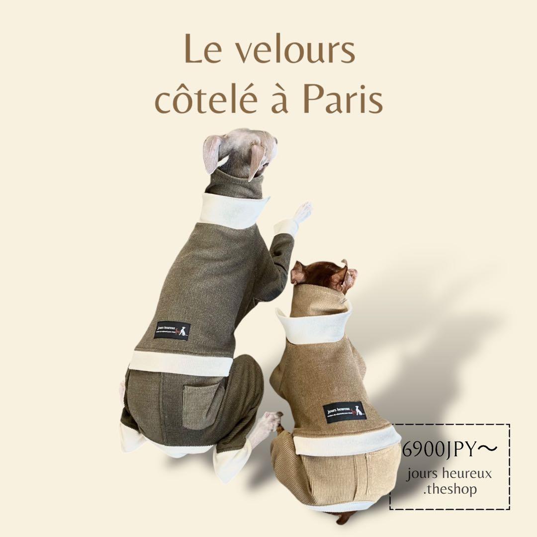 ⑪コーデュロイ イン パリ