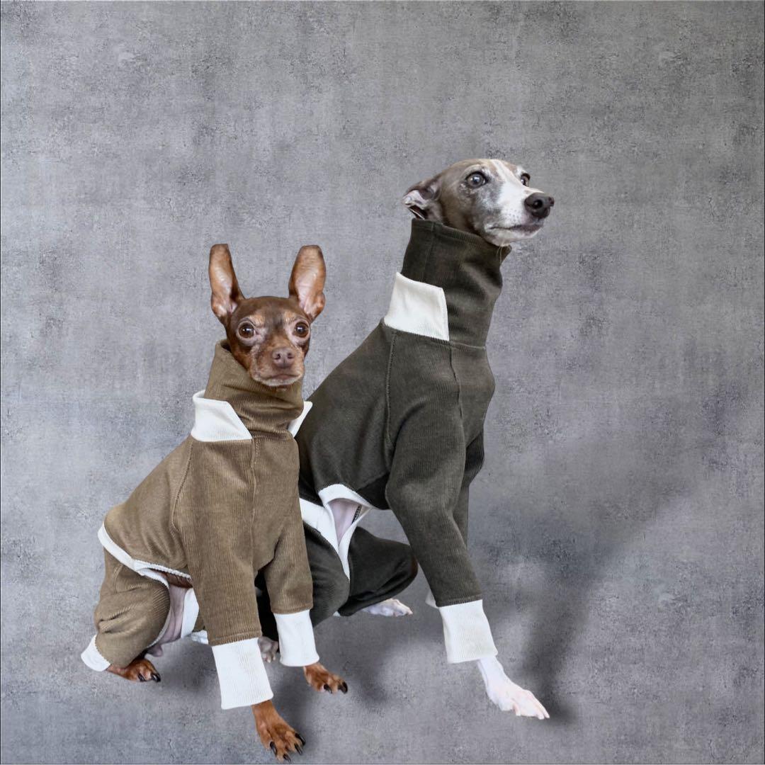 ⑪コーデュロイ イン パリ