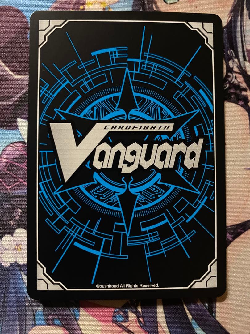 スノウスキップパルヴィTGR+ ヴァンガード