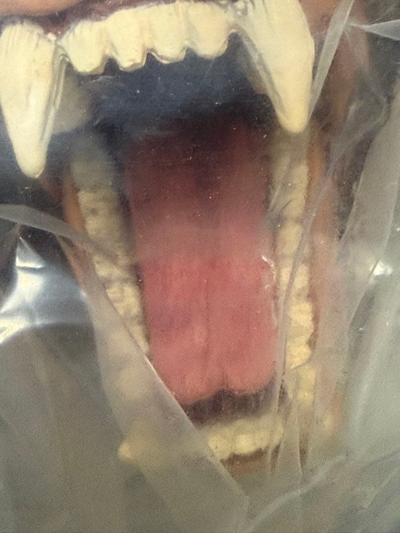 【未開封】ドラゴンボール 一番くじラストワン賞 大猿ベジータソフビフィギュア