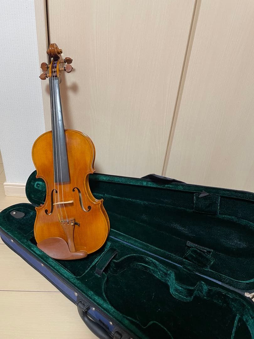 弦楽器 CARLO GIORDANO VS-2 4/4