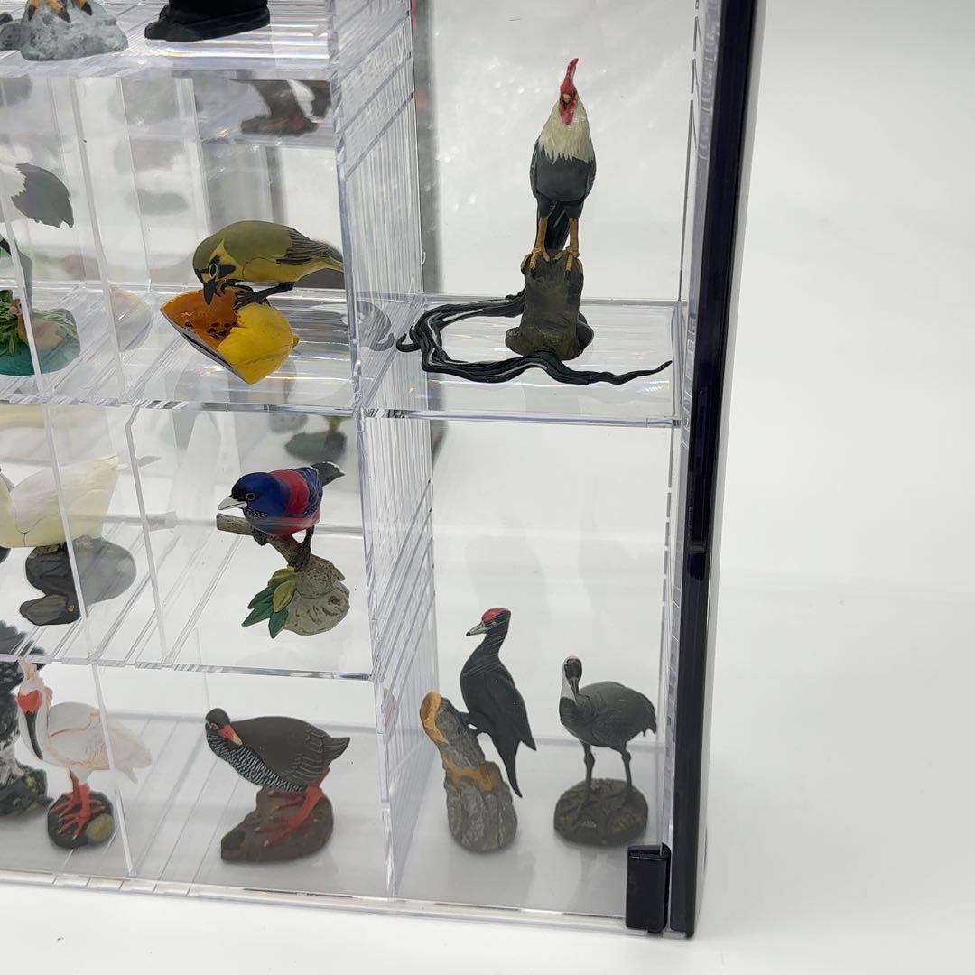 希少品 小学館 週刊 日本の天然記念物 52体セット まとめ売り