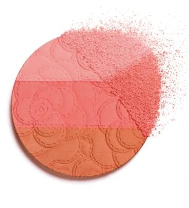 新品未使用のCHANELシャネル チーク特別限定品 カメリアフトゥーラ