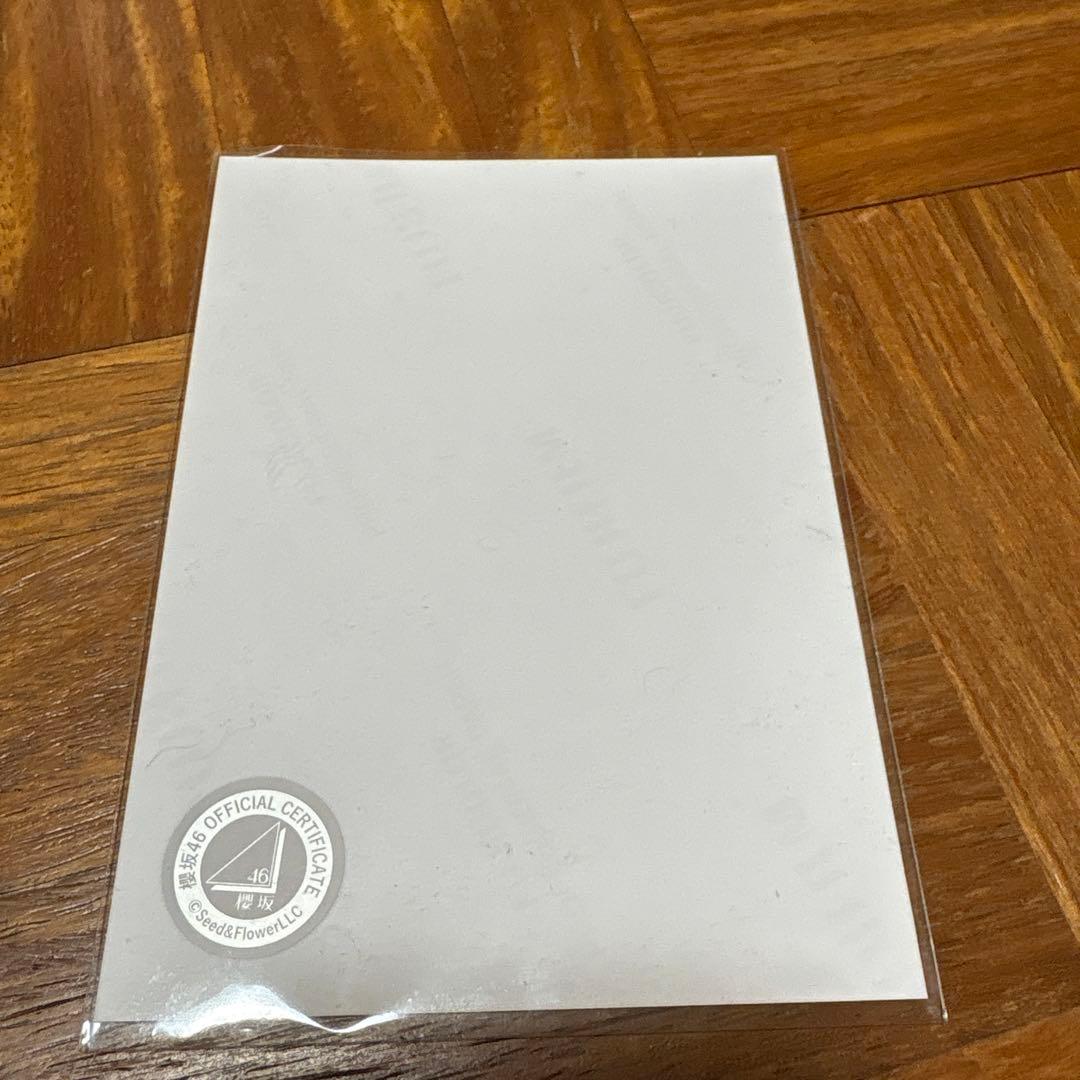 欅坂46 櫻坂46 森田ひかる　直筆サイン　生写真　サンタ