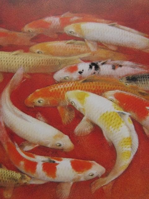 山下関城、【錦】、希少な額装用画集より、新品額装付、状態良好