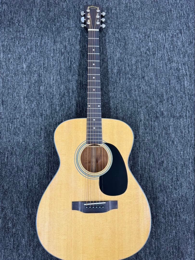 Aria Dreadnought アコースティックギター セットAF-25N