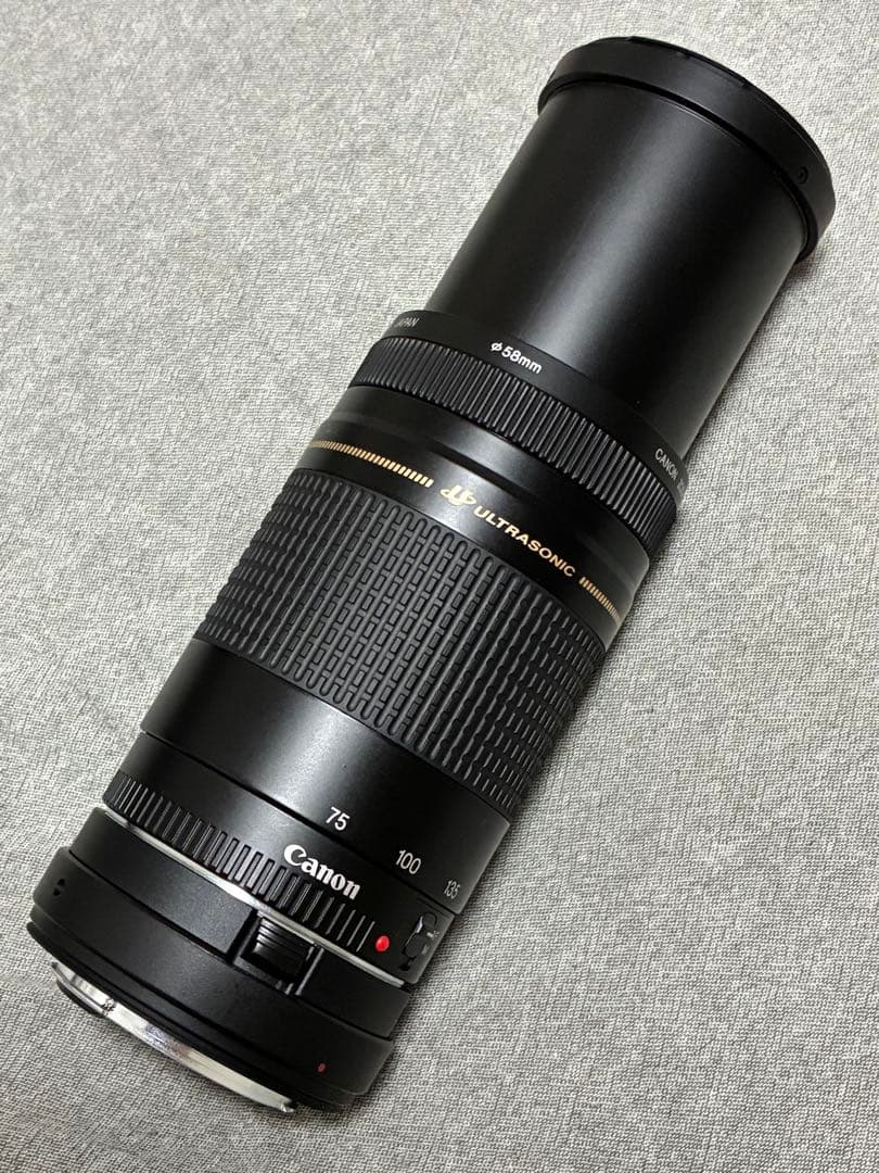 ⭐️美品⭐️Canon EFS 75-300 II & EF-EOS R アダプター
